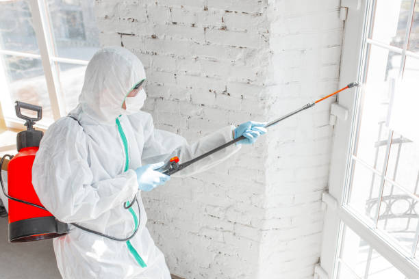 Best Asbestos and Lead Testing During Mold Inspection in Shakopee, MN